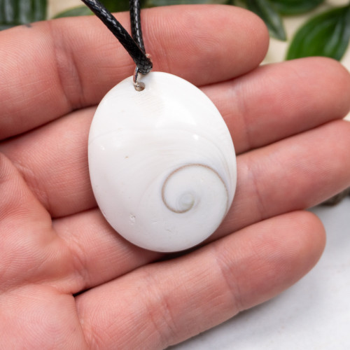 Shiva Shell Necklace