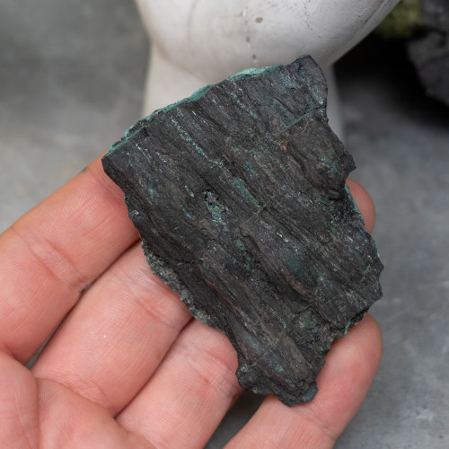 Petrified Wood with Malachite #1