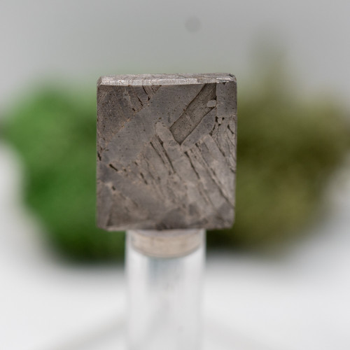 Seymchan Meterorite on Magnetic Stand #1