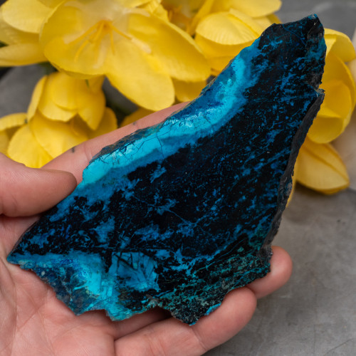 Shattuckite, Chrysocolla, Malachite, Tenorite Slab XL #1