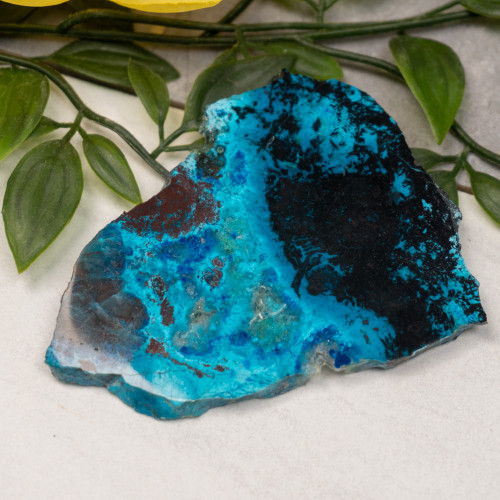 Shattuckite, Chrysocolla, Malachite & Tenorite Slab #20