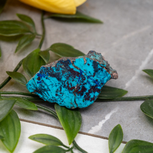 Shattuckite Slab with Tenorite, Azurite, and Chrysocolla Slab #17