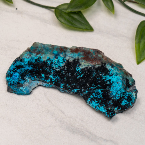 Shattuckite Slab with Tenorite, Azurite, and Chrysocolla Slab #19