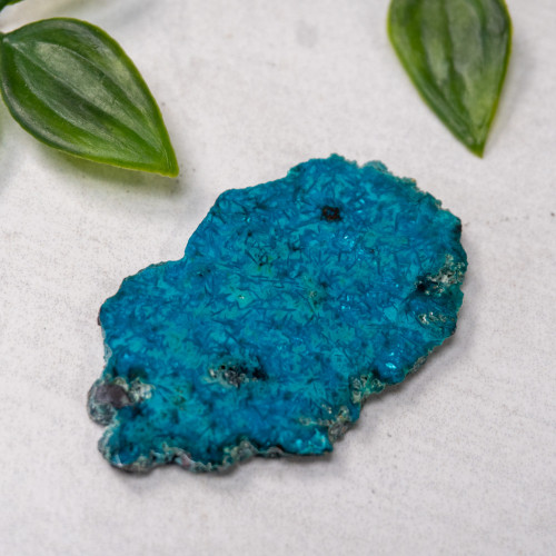 Shattuckite Slab with Tenorite, Azurite, and Chrysocolla Slab #11