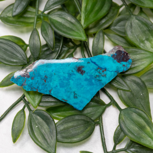 Shattuckite Slab with Tenorite, Azurite, and Chrysocolla Slab #9