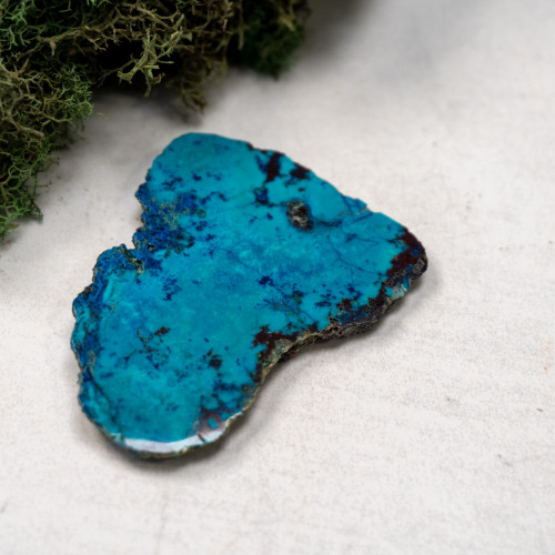 Shattuckite Slab with Tenorite, Azurite, and Chrysocolla Slab #8
