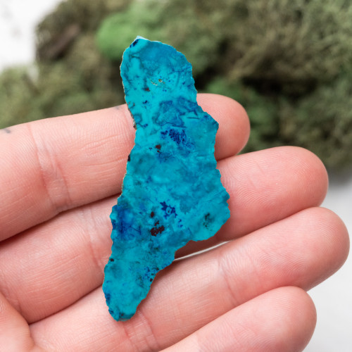 Shattuckite Slab with Tenorite, Azurite, and Chrysocolla Slab #5