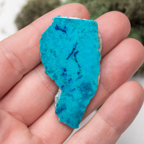 Shattuckite Slab with Tenorite, Azurite, and Chrysocolla Slab #6