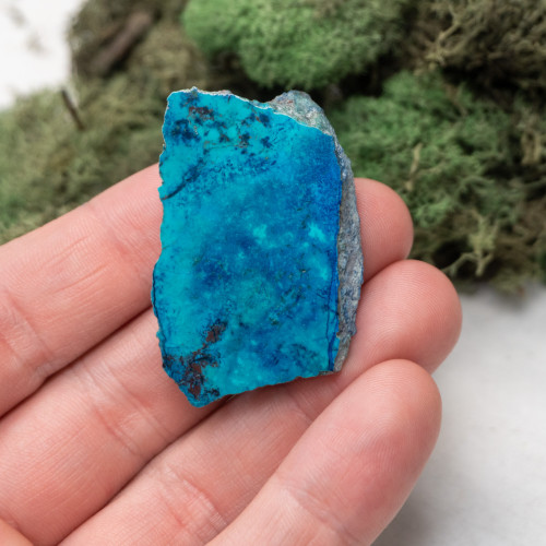 Shattuckite Slab with Tenorite, Azurite, and Chrysocolla Slab #2