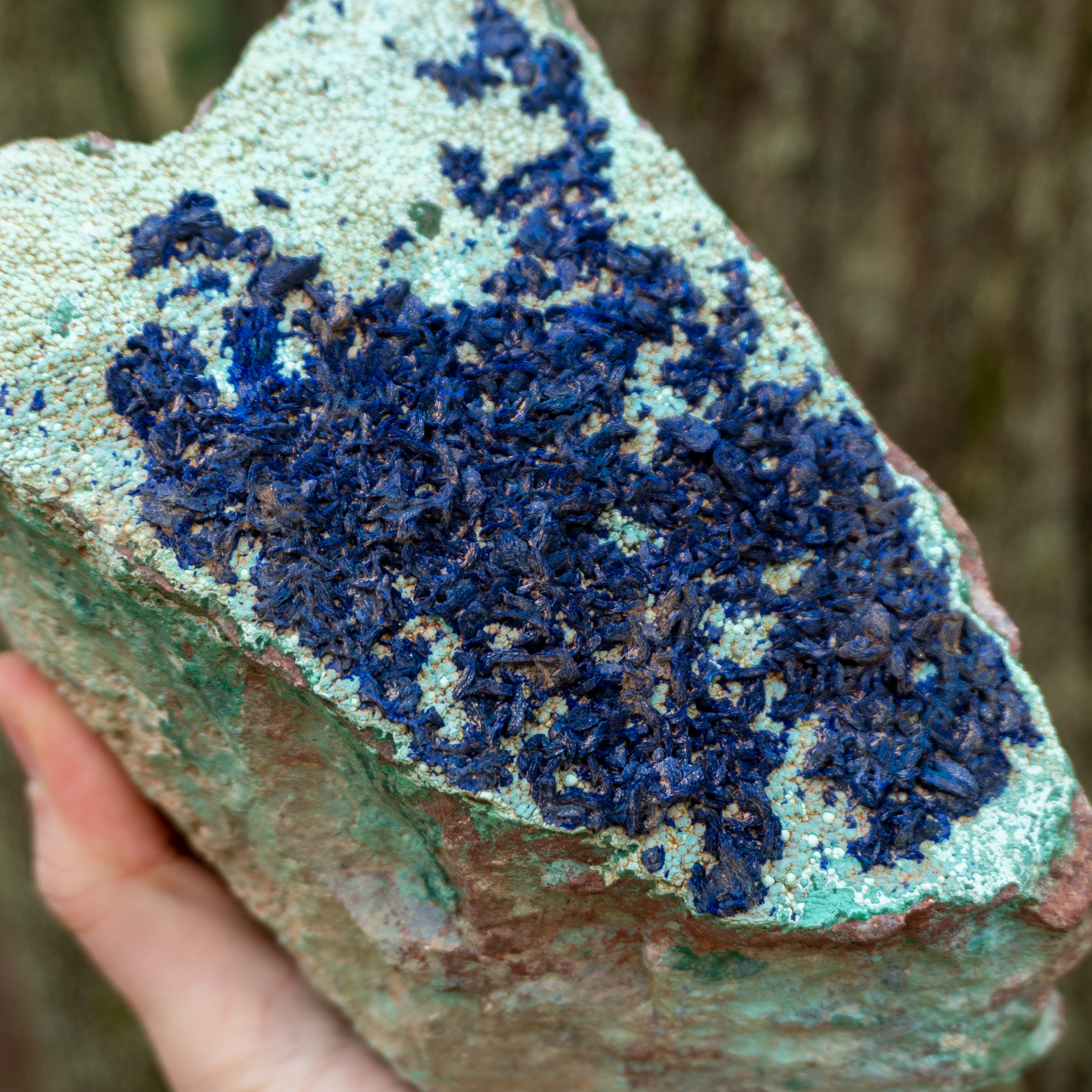 Azurite Over Botryoidal Malachite on Matrix