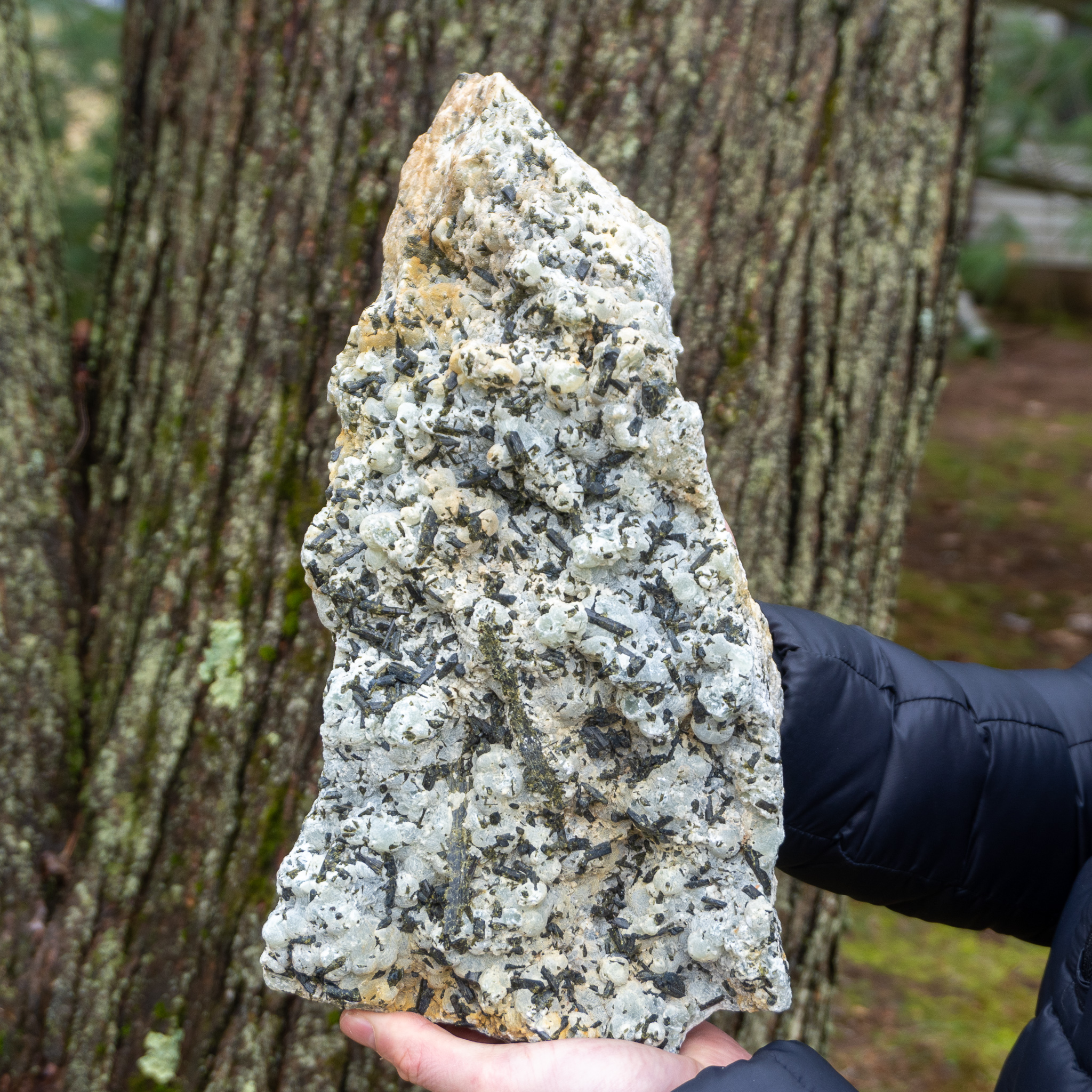 Large Prehnite With Epidote Sticks