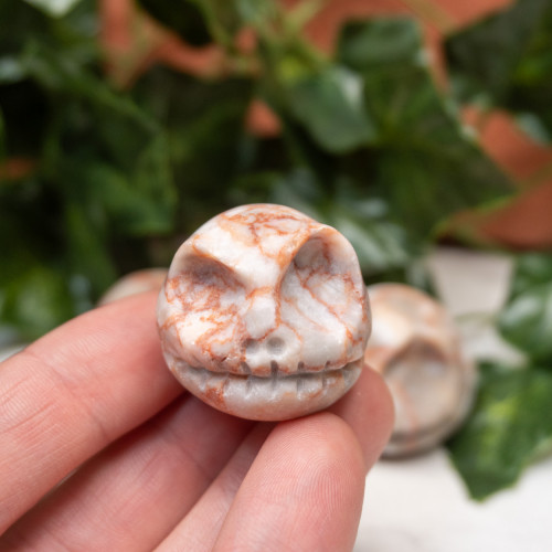 Red Vein Jasper Jack Skull