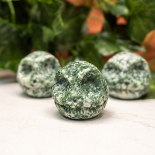 Tree Agate Jack Skull
