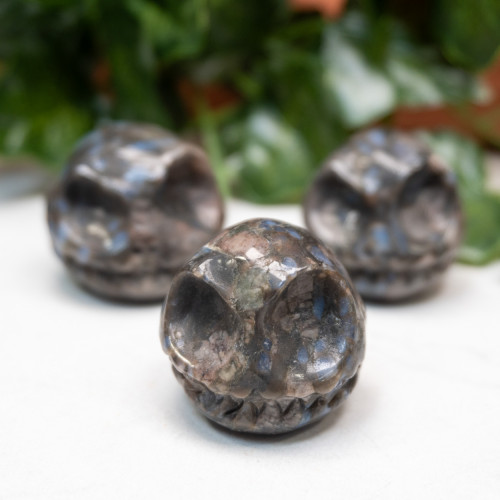 Que Sera Rhyolite Jack Skull