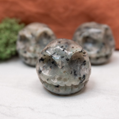 Kiwi Jasper Jack Skull