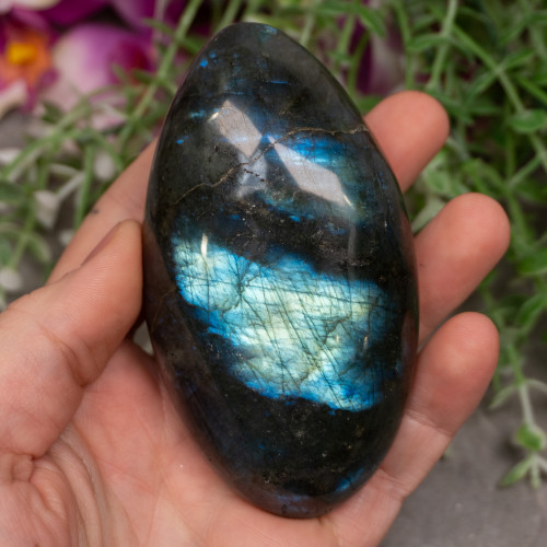 High Flash Labradorite Palmstone #4