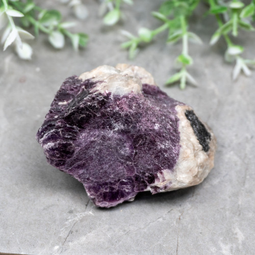 Lepidolite in Aquamarine #8