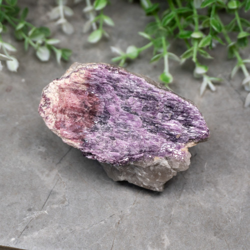 Lepidolite in Aquamarine #7