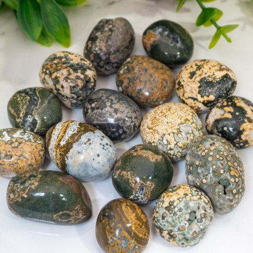 Ocean Jasper A+ Tumbled