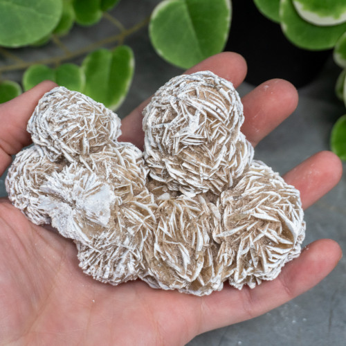Desert Rose Selenite #2