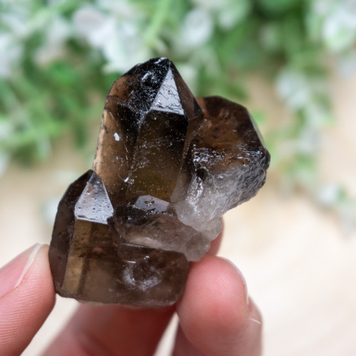 Raw Smoky Quartz #9