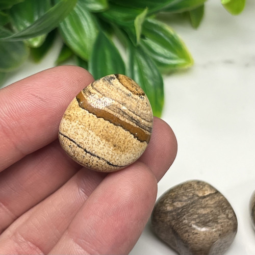 Small Picture Jasper Tumbled