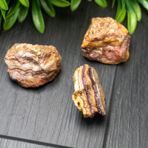 Bacon Opal Small Raw