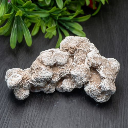 Desert Rose Selenite #8