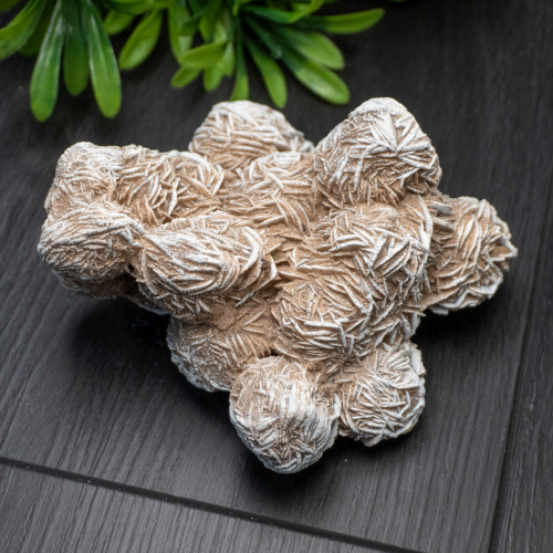 Desert Rose Selenite #7