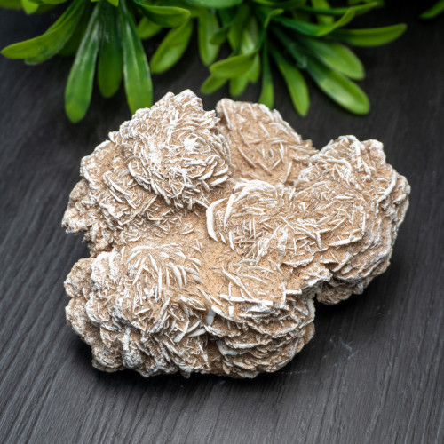 Desert Rose Selenite #6
