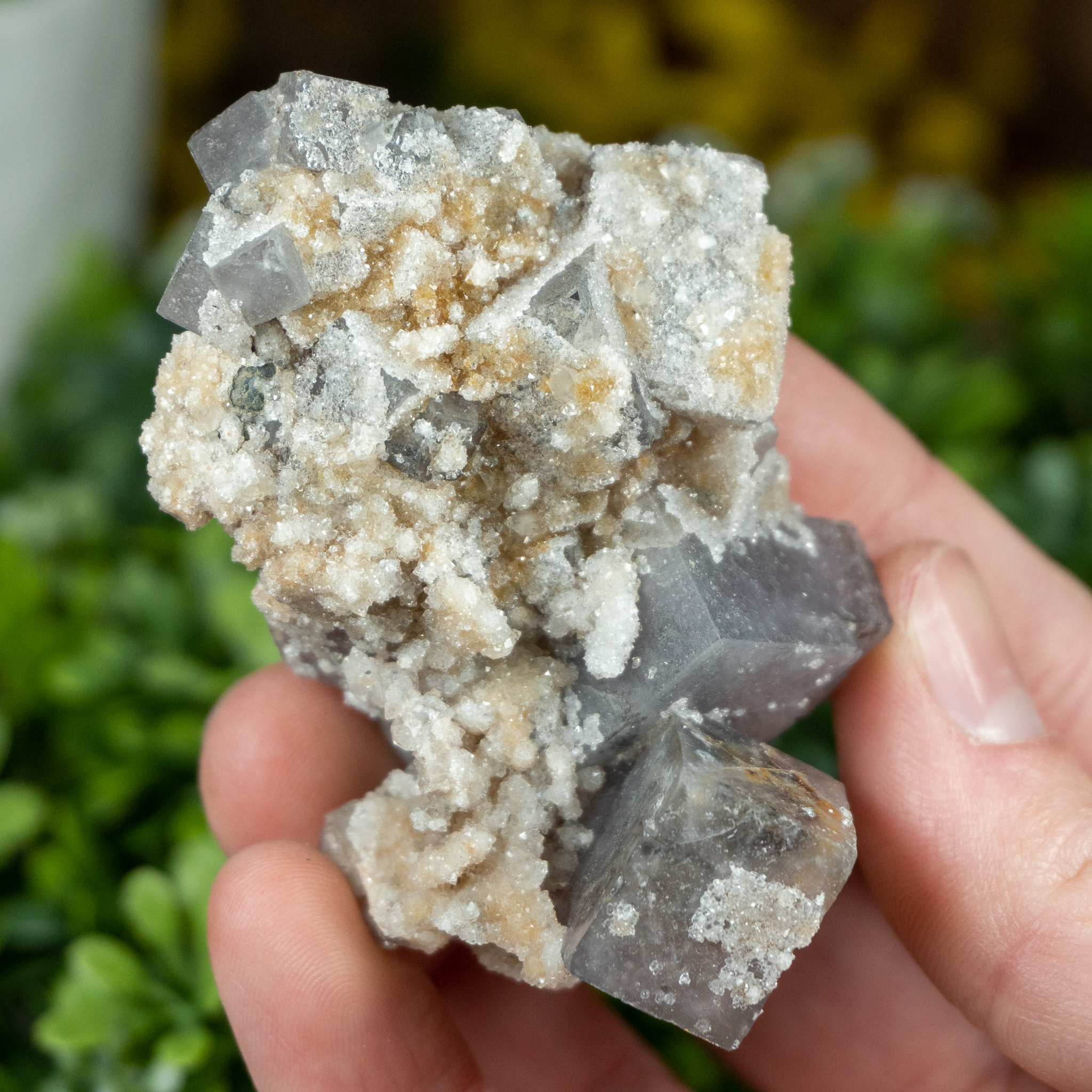 Fluorite Cubes with Dolomite and Druzy Quartz