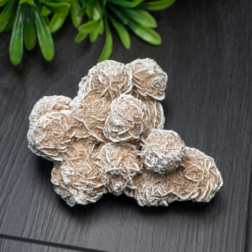 Desert Rose Selenite #5
