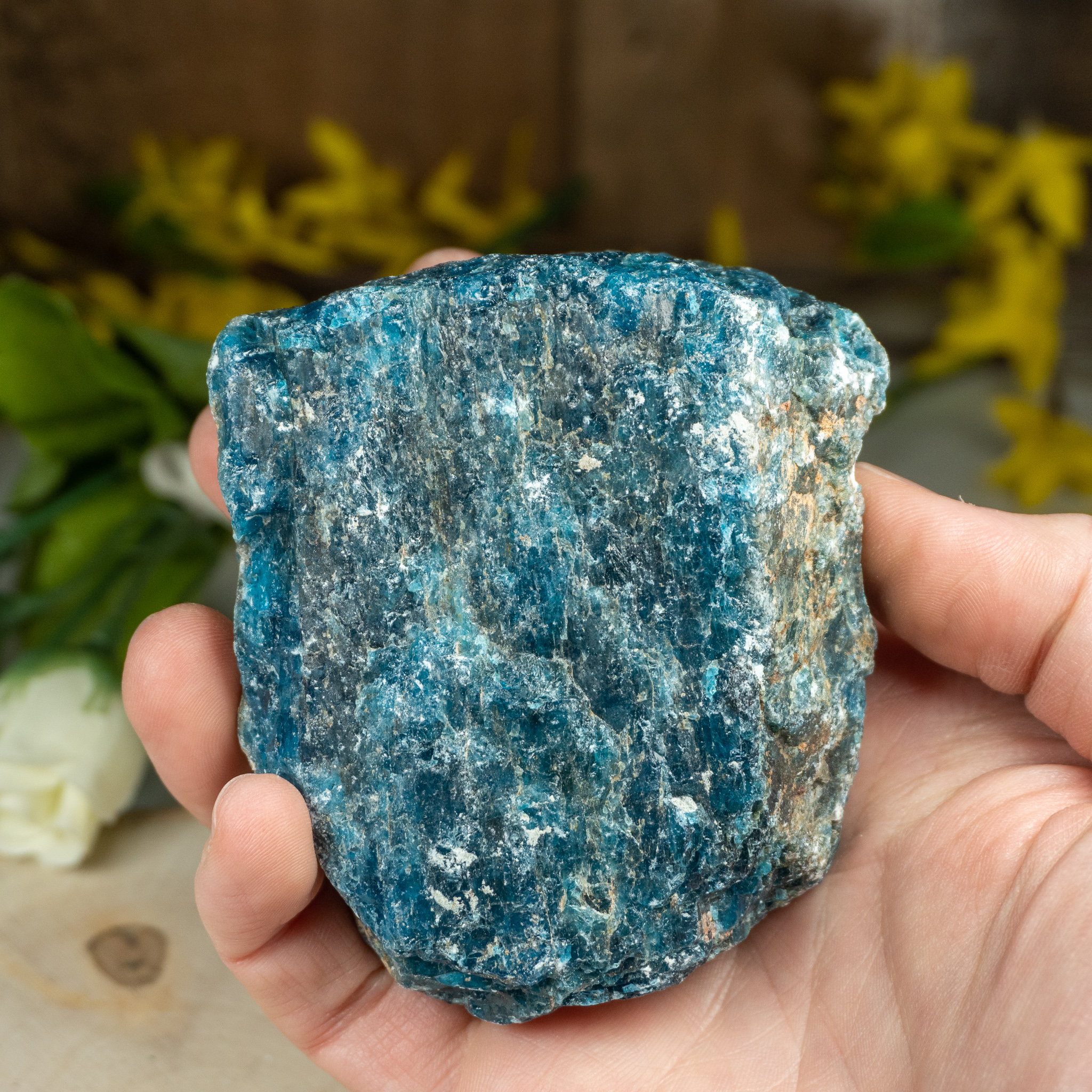 Large Raw Blue Apatite - The Crystal Council