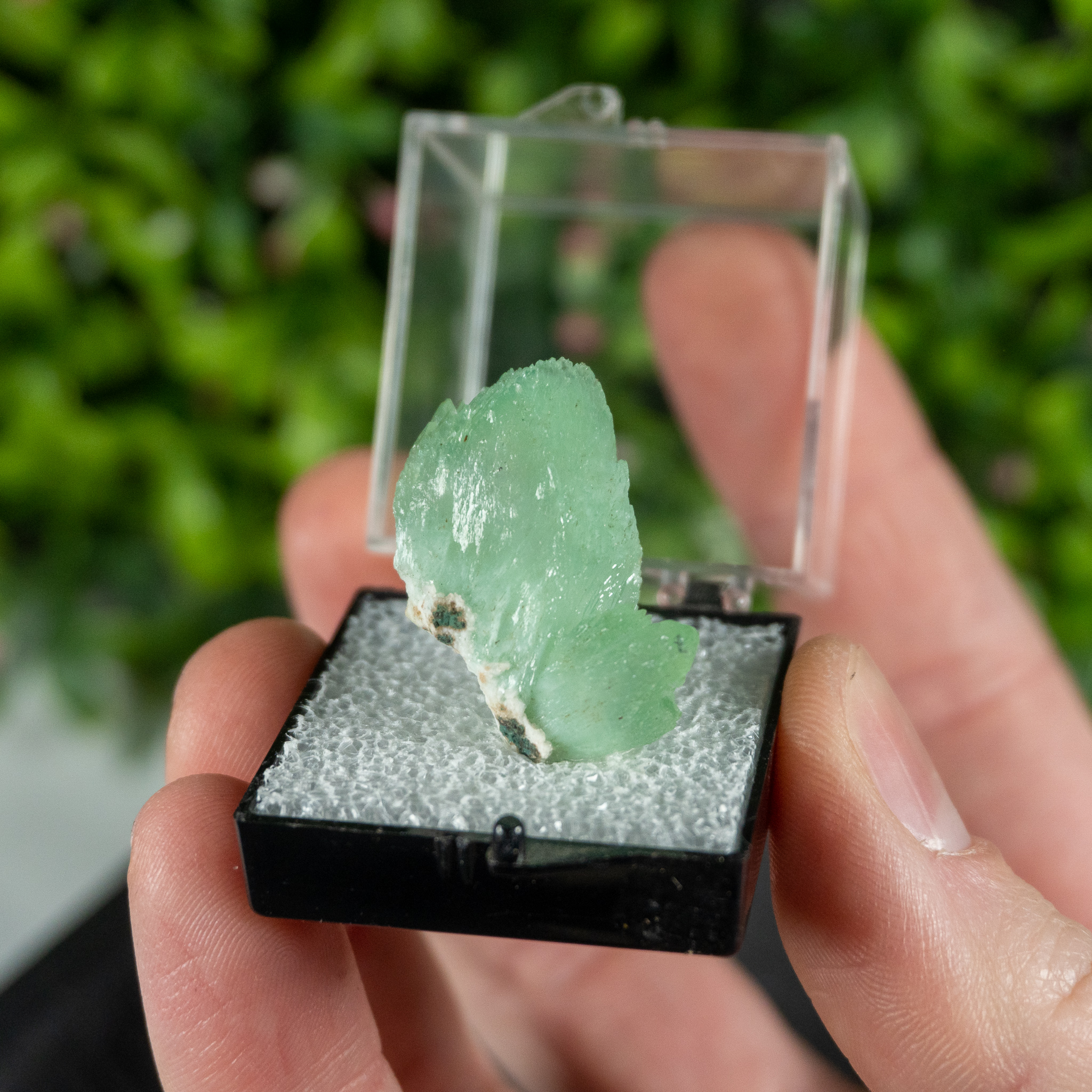 Apophylite Mounted Fine Specimen