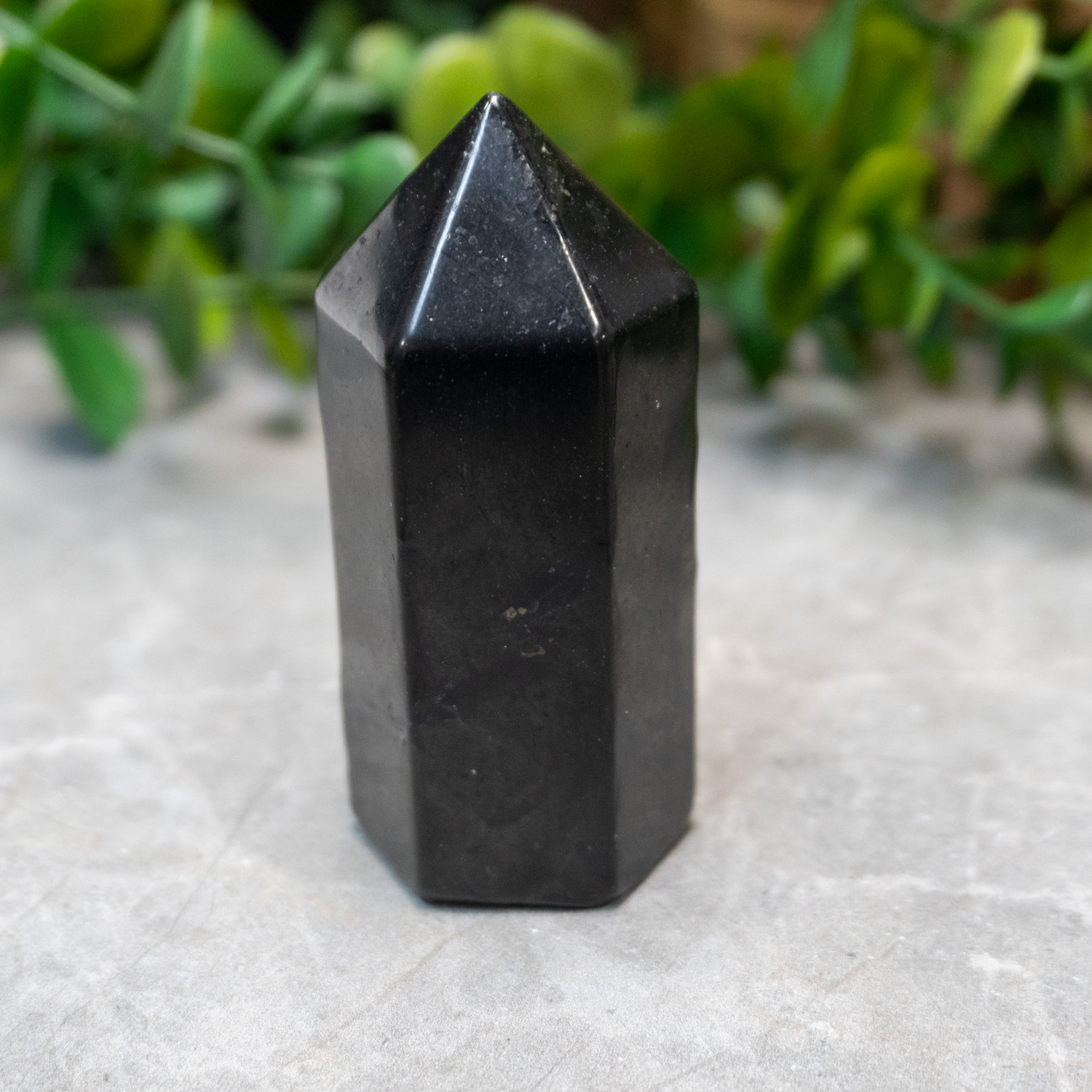 Shungite Tower - The Crystal Council