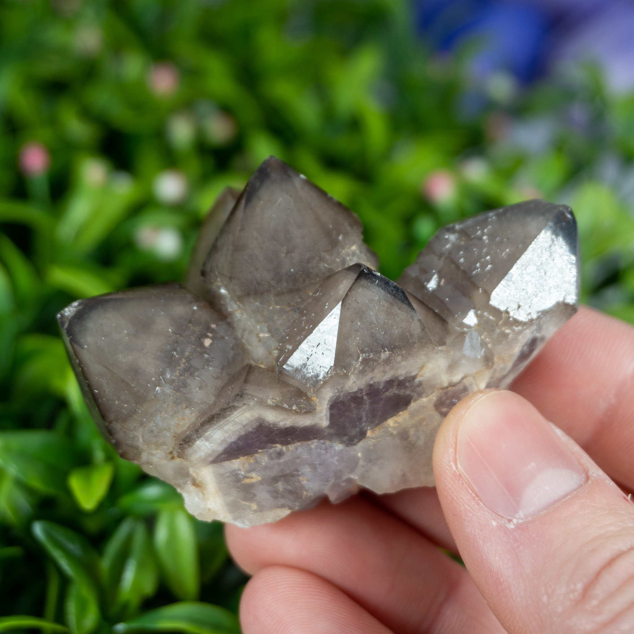 4 Point Smoky Quartz Specimen