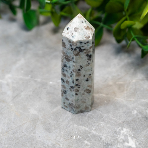 Kiwi Jasper Tower Random