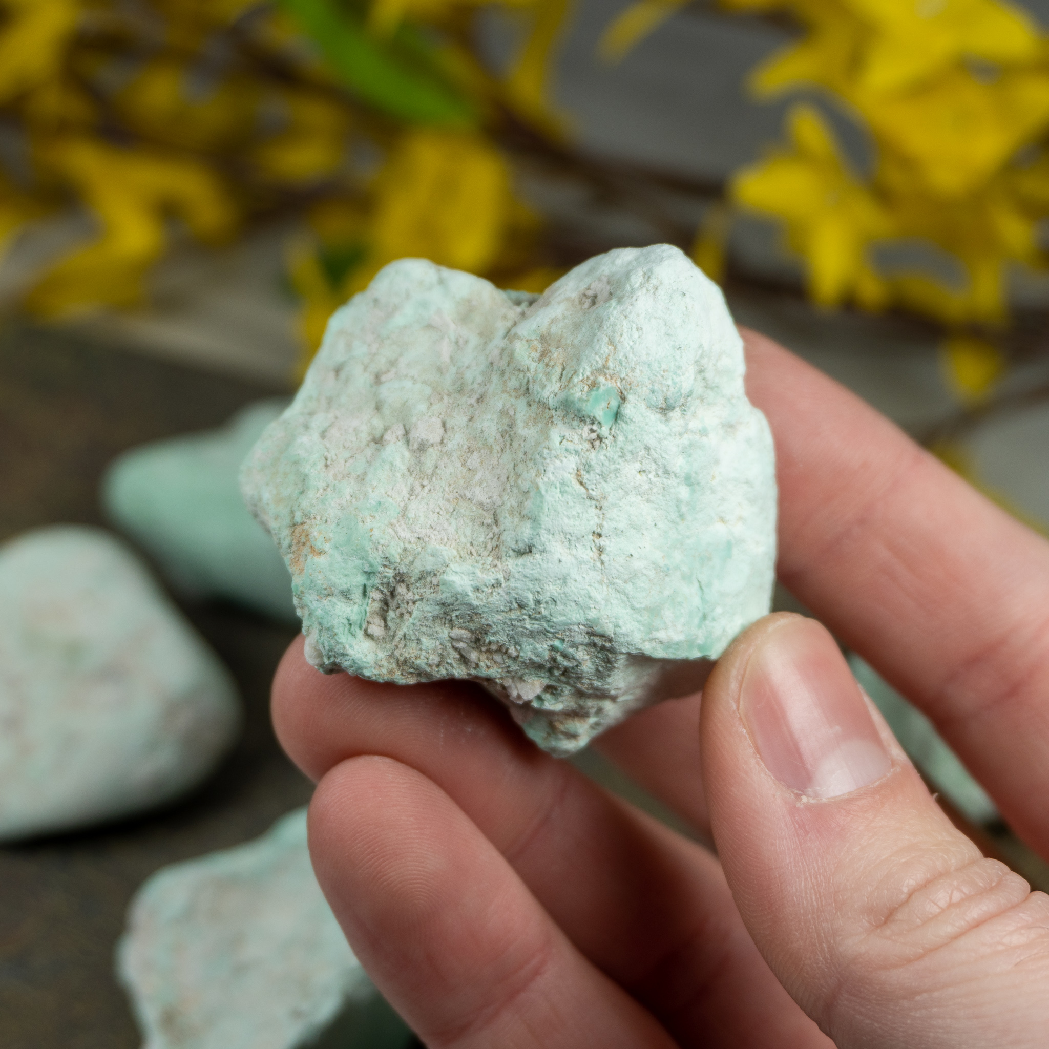 Raw Variscite - The Crystal Council