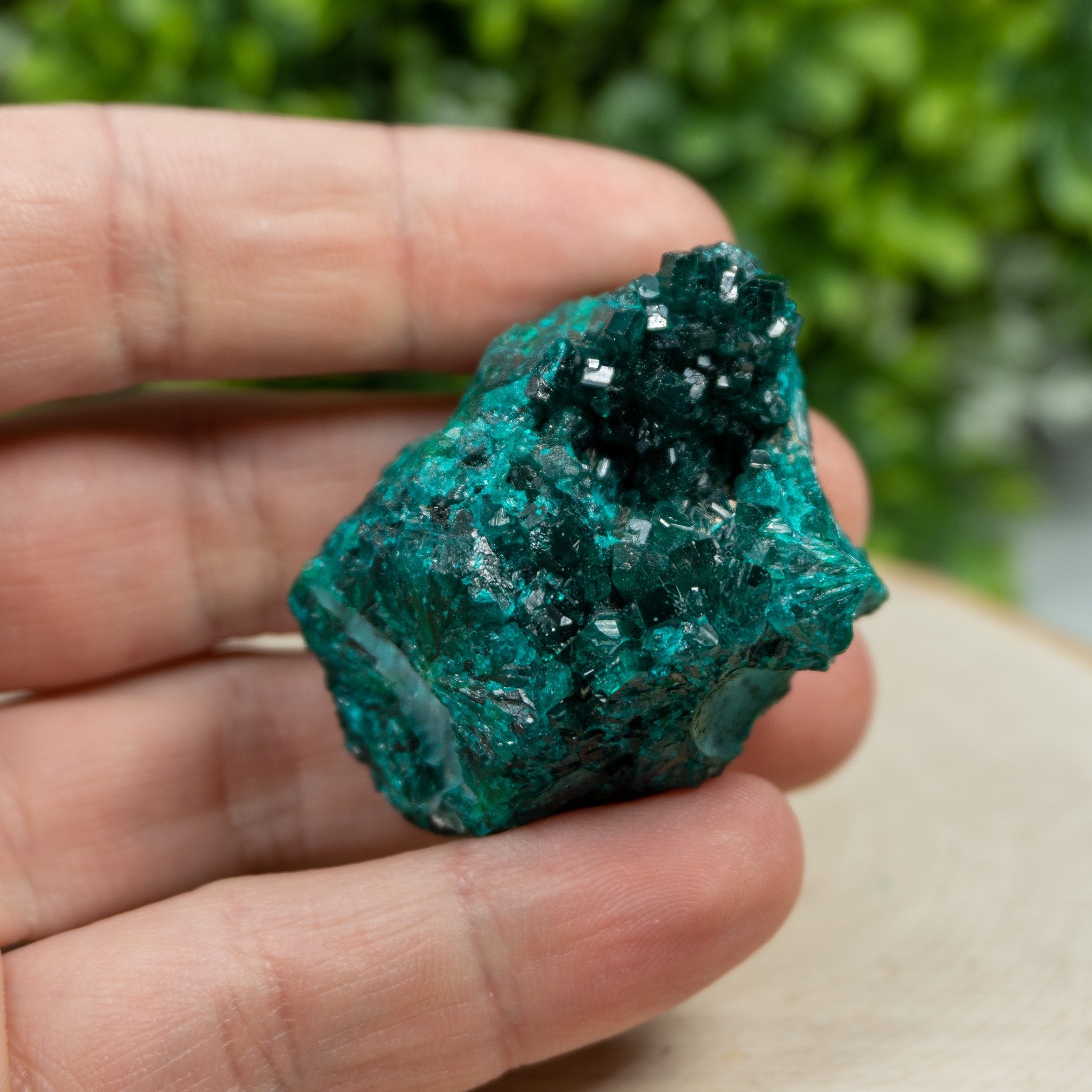 Dioptase (Gemmy) 2 The Crystal Council