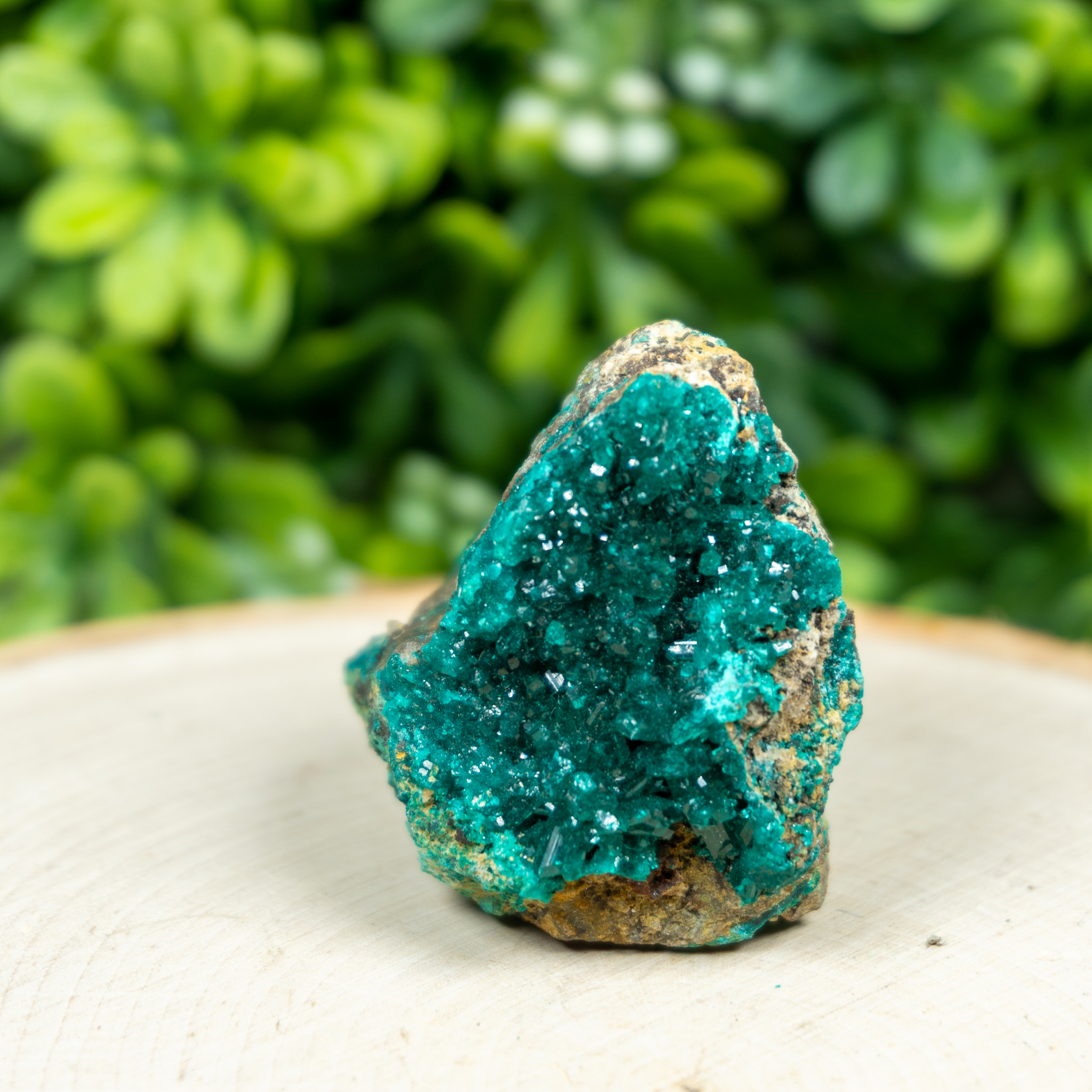 Tumbled Dioptase