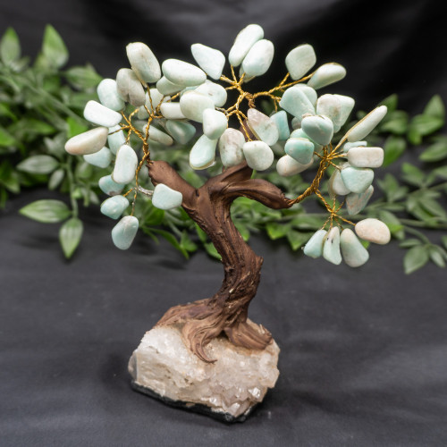 XL Amazonite Crystal Tree
