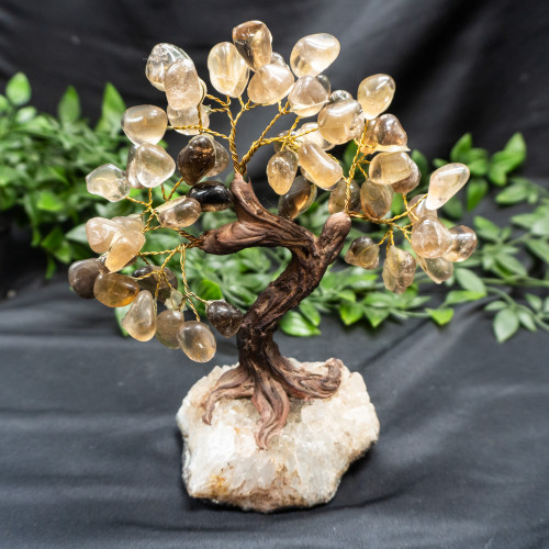 XL Smoky Quartz Crystal Tree