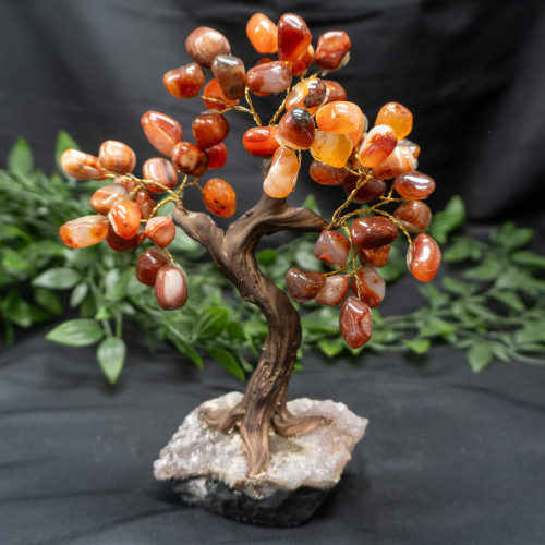 XL Carnelian Crystal Tree