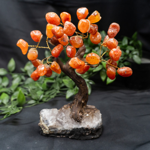 Large Carnelian Crystal Tree