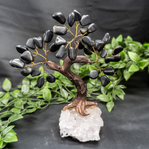 Large Black Tourmaline Crystal Tree