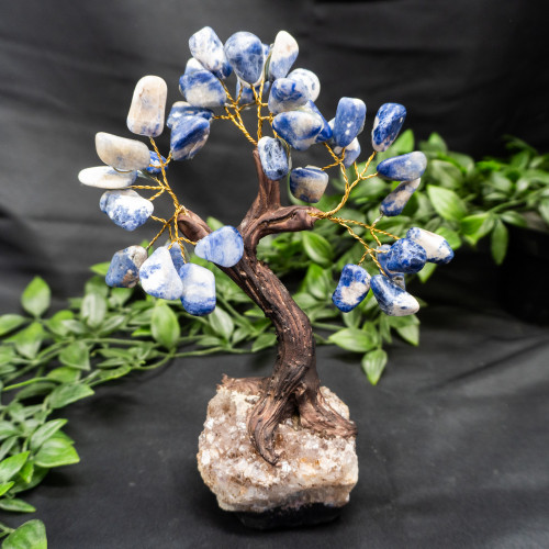 Large Sodalite Crystal Tree