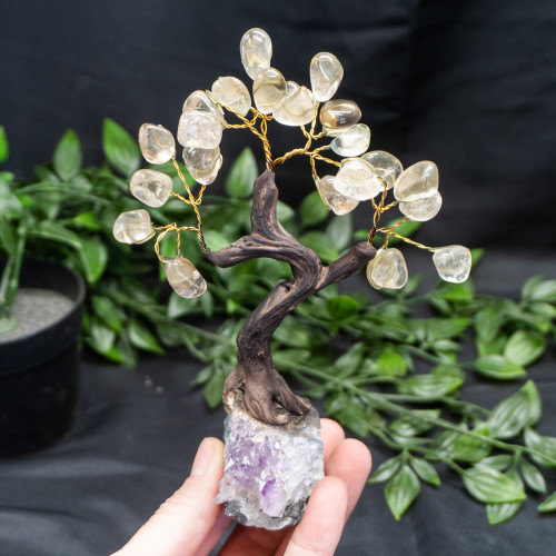 Medium Smoky Quartz Tree