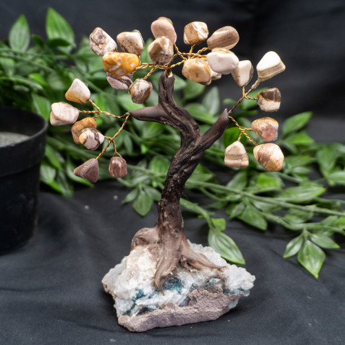 Medium Nguni Jasper Crystal Tree