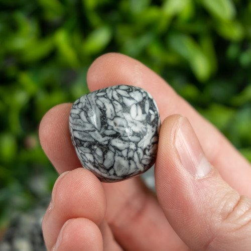 Pinolite Tumbled