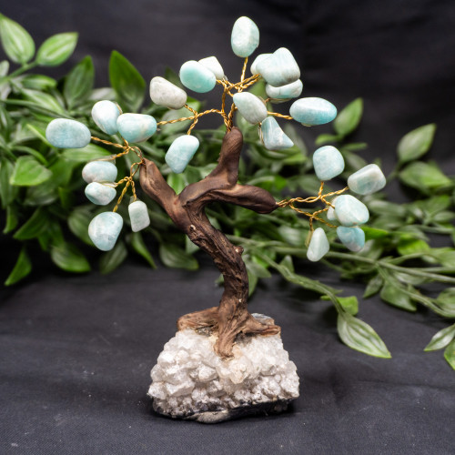 Medium Amazonite Crystal Tree